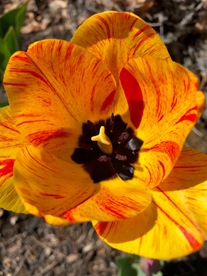 Here Comes the Sun: Grab These Sunnies&nbsp;Darlings